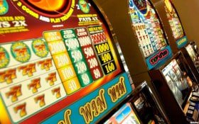 leo bet casino